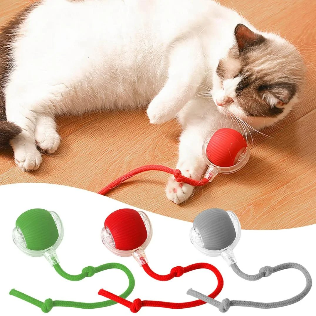 🐾Christmas Special offer! 🐱🐶Smart Automatic Rolling Pet Ball
