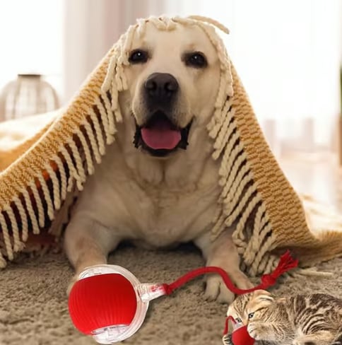 🐾Christmas Special offer! 🐱🐶Smart Automatic Rolling Pet Ball